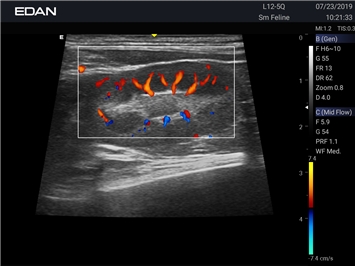 EDAN Acclarix AX2 VET